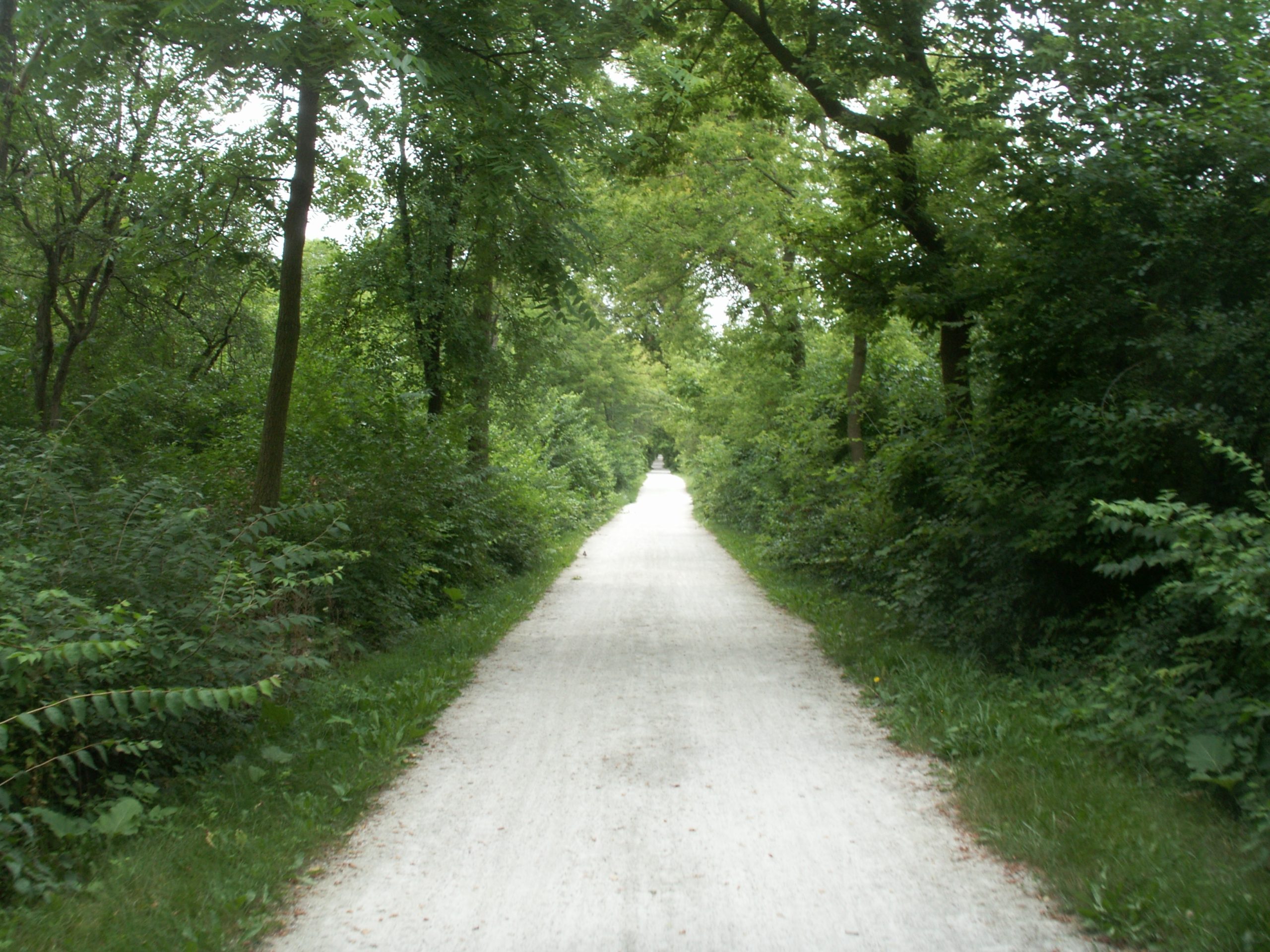 Illinois Prairie Path